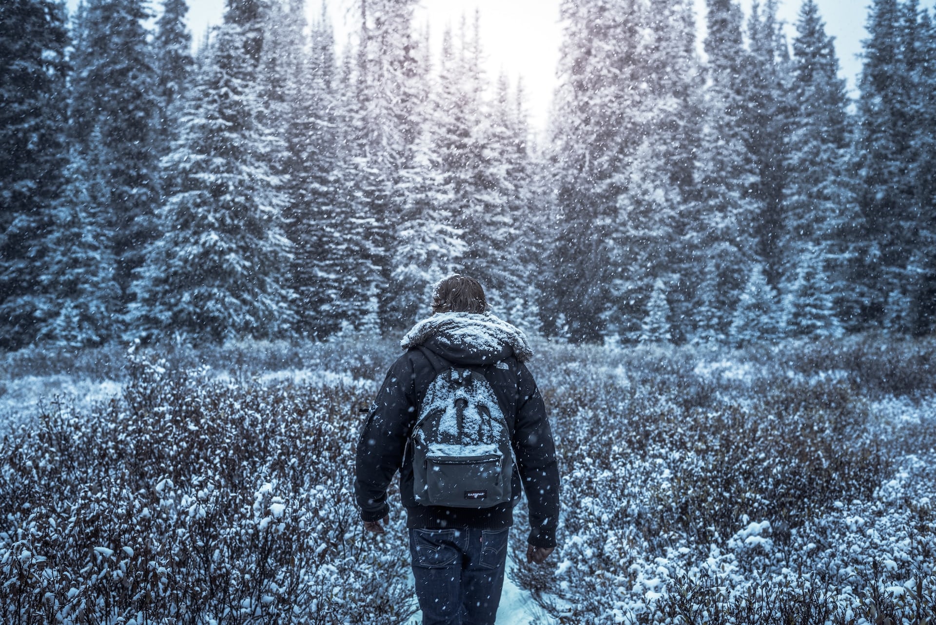 person walking in wintertime in the forest