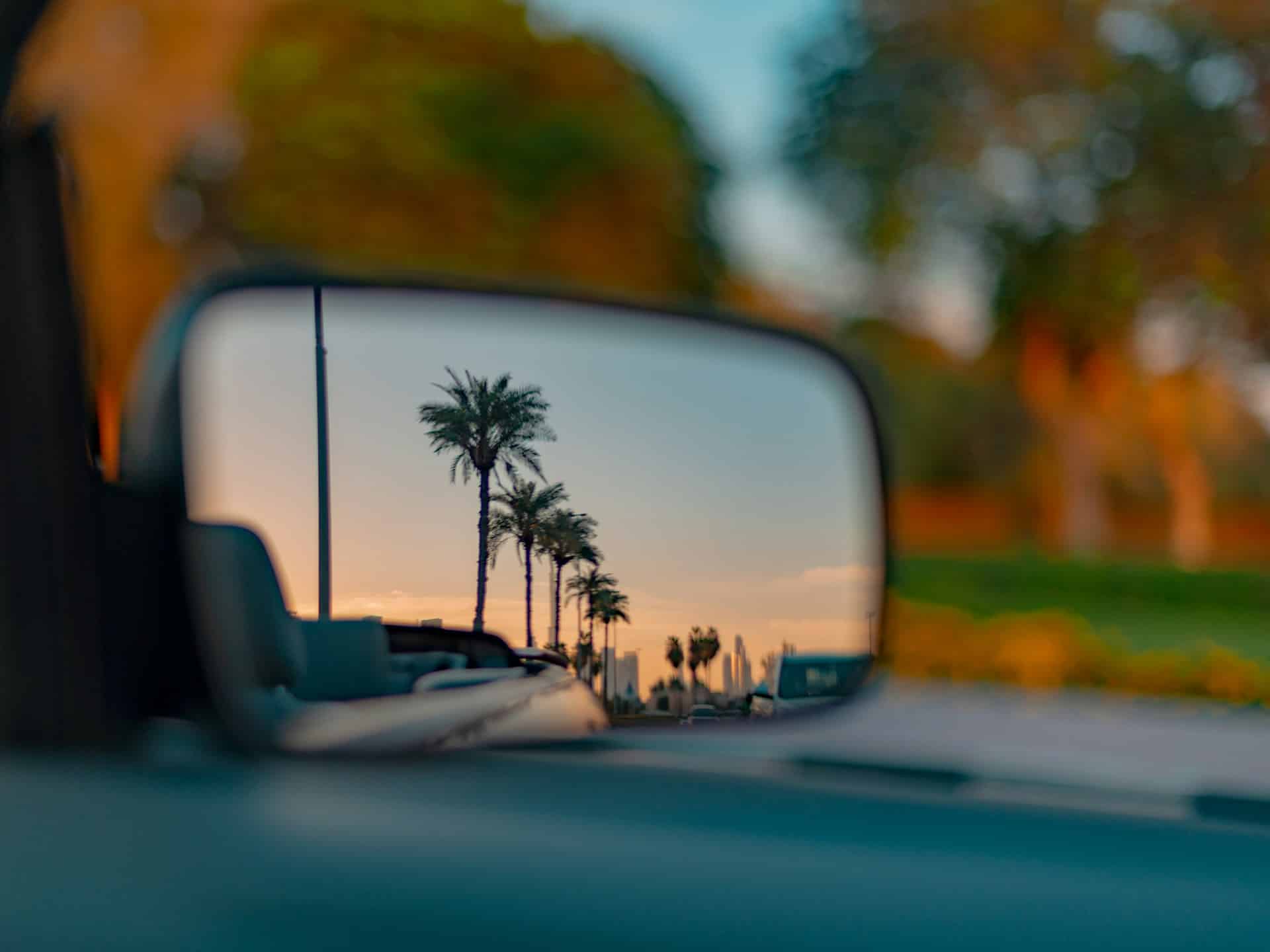 a rear view mirror reflecting palm trees